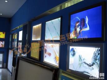 深圳写真喷绘工厂 一站式标语灯箱、展会海报与印刷包装解决方案